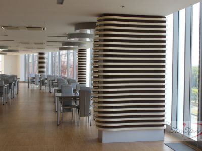 IMG 0938