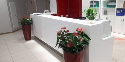 st-2018-1-